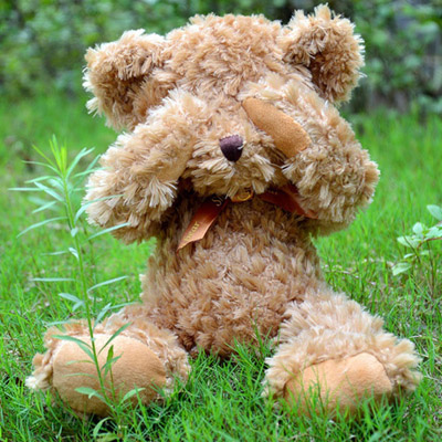 shy teddy bear